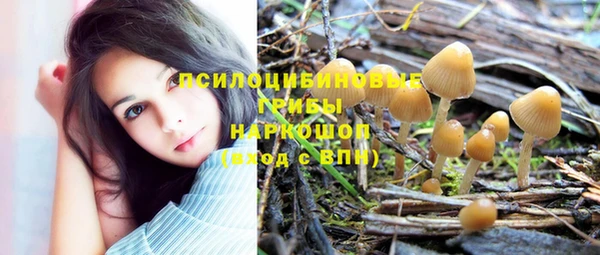 гашик Балабаново