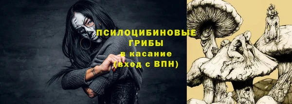 гашик Балабаново