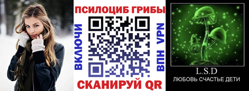 Псилоцибиновые грибы мицелий  Бутурлиновка 